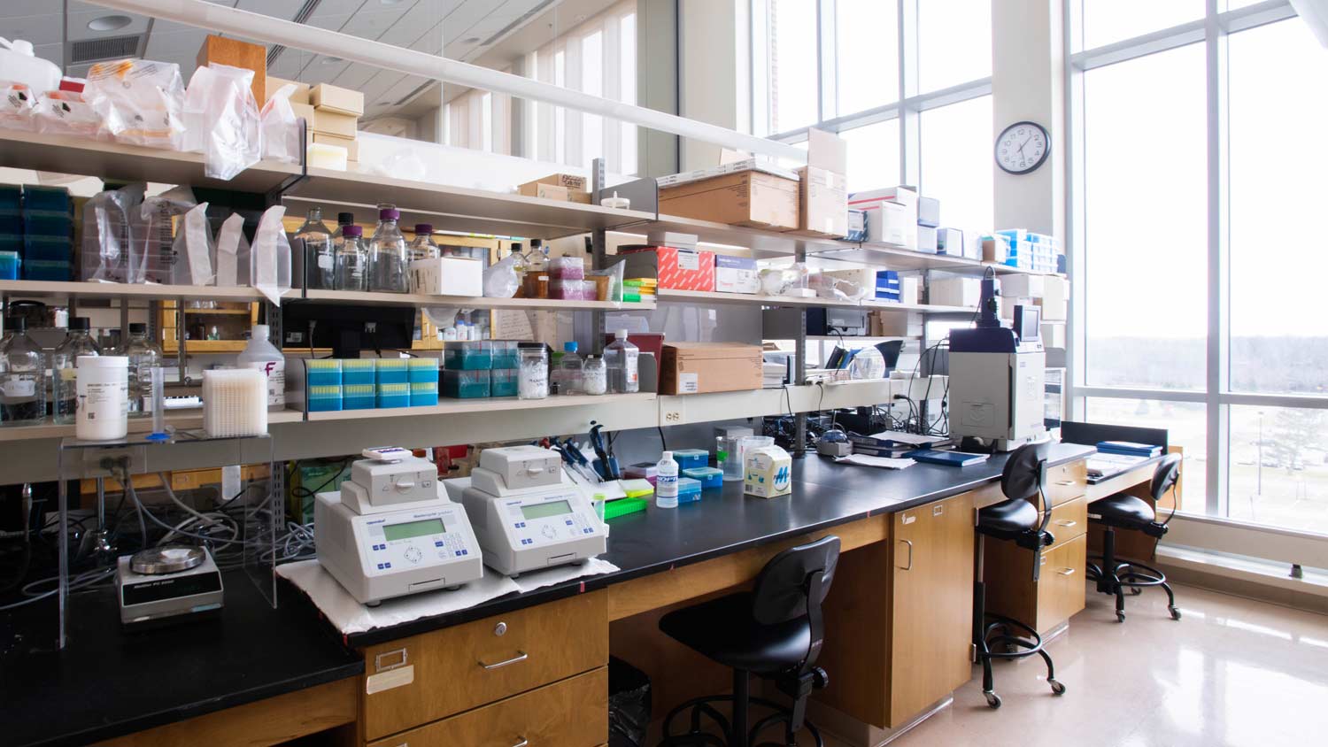 Peptide Stability and Storage: Best Practices