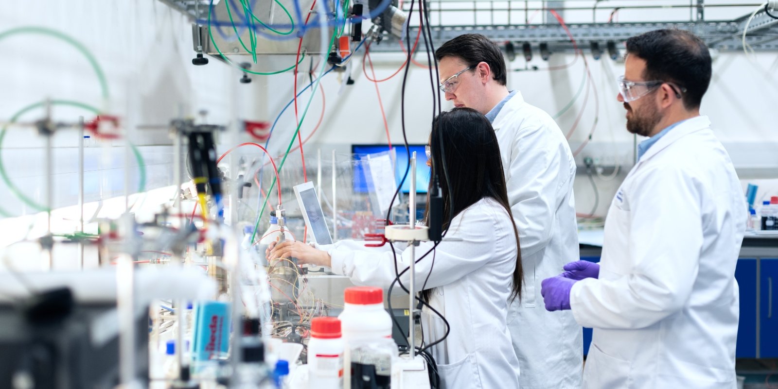 Peptide Immunogenicity: Understanding Immune Responses to Research Peptides